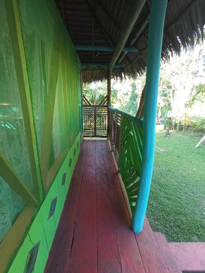 Hostal Buho Amazonas Tours Leticia Esterno foto